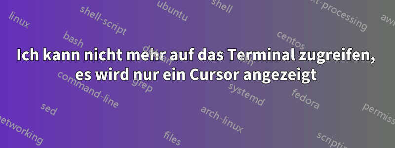 Ich kann nicht mehr auf das Terminal zugreifen, es wird nur ein Cursor angezeigt