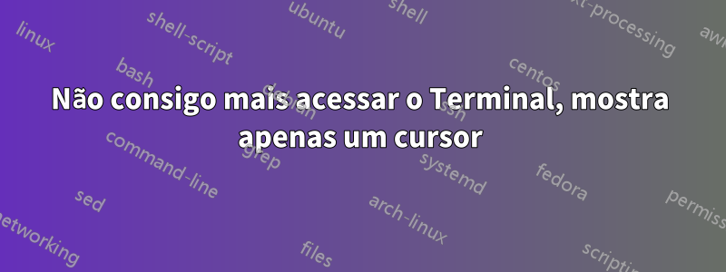 Não consigo mais acessar o Terminal, mostra apenas um cursor