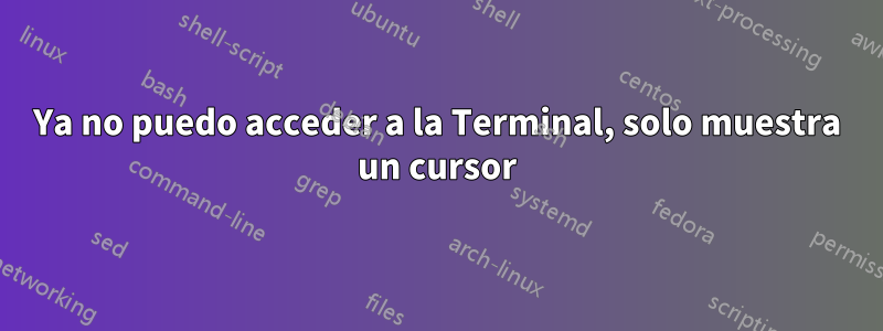 Ya no puedo acceder a la Terminal, solo muestra un cursor