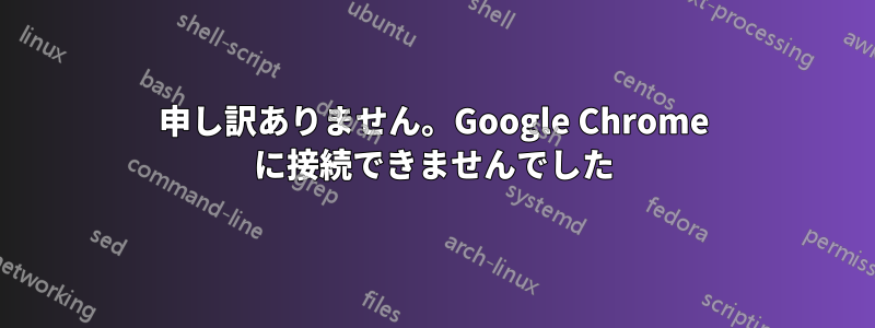 申し訳ありません。Google Chrome に接続できませんでした