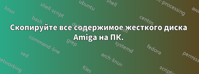 Скопируйте все содержимое жесткого диска Amiga на ПК.