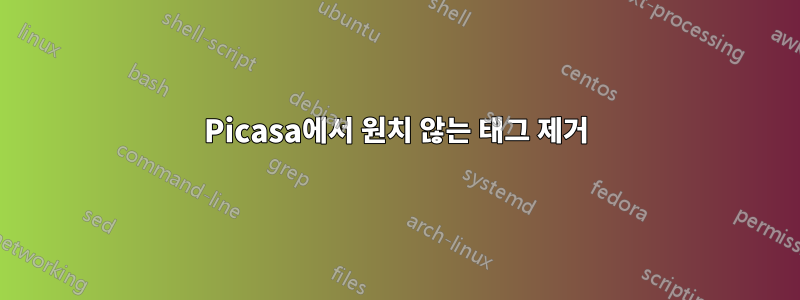 Picasa에서 원치 않는 태그 제거