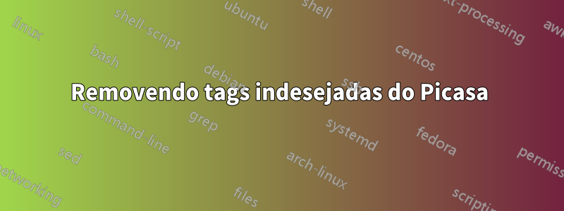 Removendo tags indesejadas do Picasa