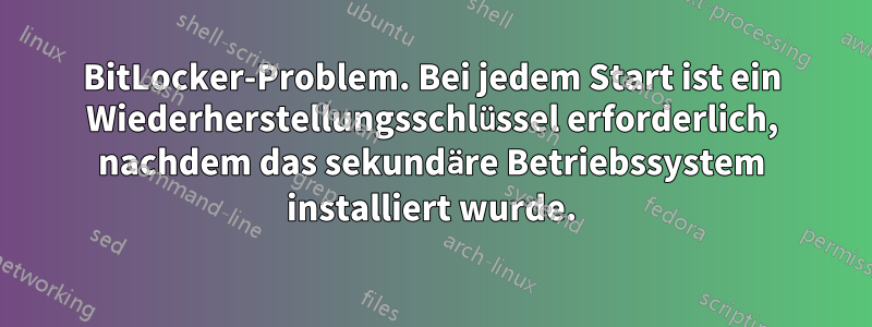 BitLocker-Problem. Bei jedem Start ist ein Wiederherstellungsschlüssel erforderlich, nachdem das sekundäre Betriebssystem installiert wurde.