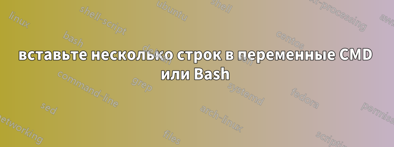 вставьте несколько строк в переменные CMD или Bash