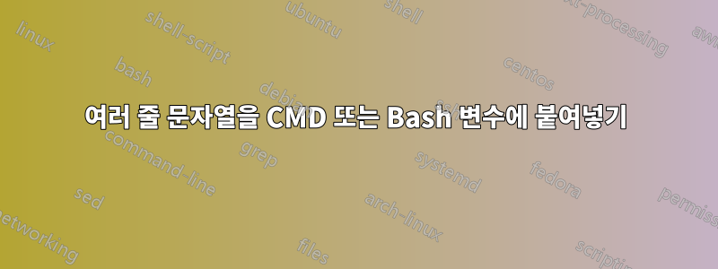 여러 줄 문자열을 CMD 또는 Bash 변수에 붙여넣기