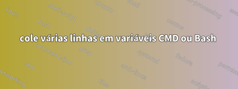 cole várias linhas em variáveis ​​CMD ou Bash