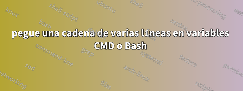 pegue una cadena de varias líneas en variables CMD o Bash