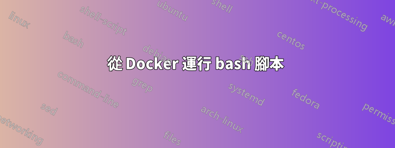 從 Docker 運行 bash 腳本