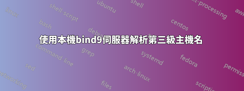 使用本機bind9伺服器解析第三級主機名