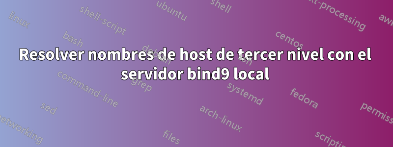 Resolver nombres de host de tercer nivel con el servidor bind9 local