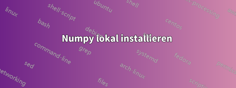 Numpy lokal installieren