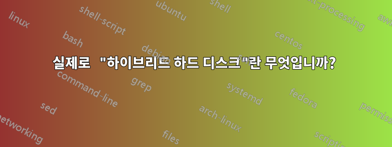 실제로 "하이브리드 하드 디스크"란 무엇입니까?