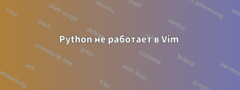 Python не работает в Vim