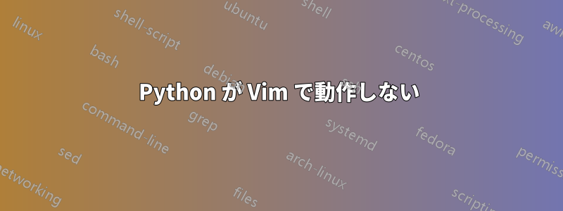 Python が Vim で動作しない