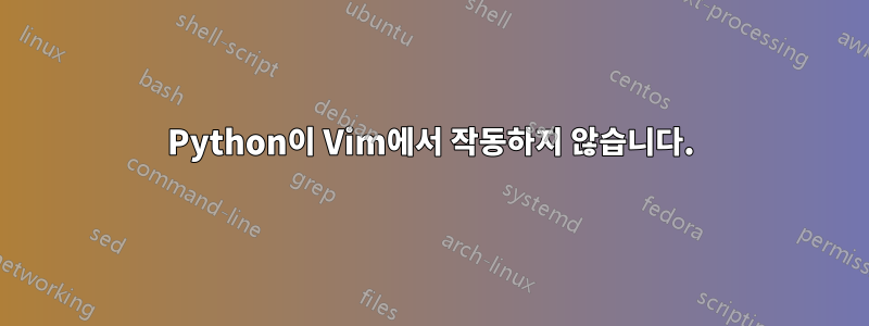 Python이 Vim에서 작동하지 않습니다.