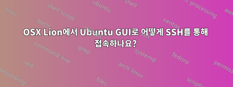 OSX Lion에서 Ubuntu GUI로 어떻게 SSH를 통해 접속하나요?