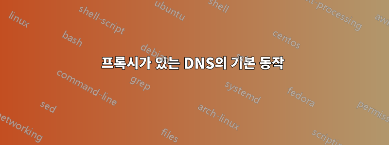 프록시가 있는 DNS의 기본 동작