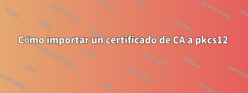 Cómo importar un certificado de CA a pkcs12