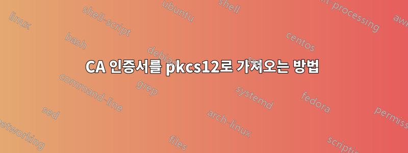 CA 인증서를 pkcs12로 가져오는 방법