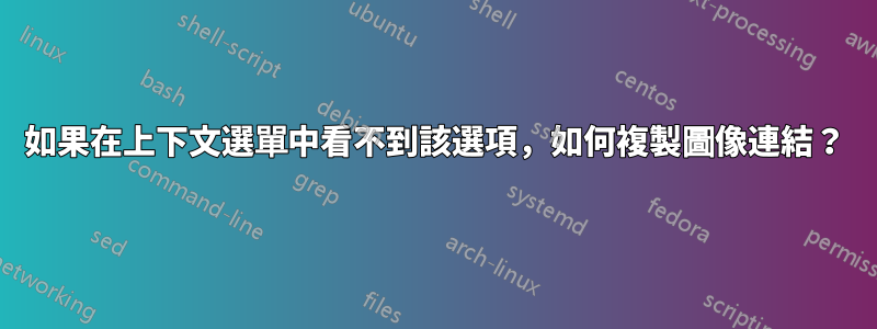 如果在上下文選單中看不到該選項，如何複製圖像連結？