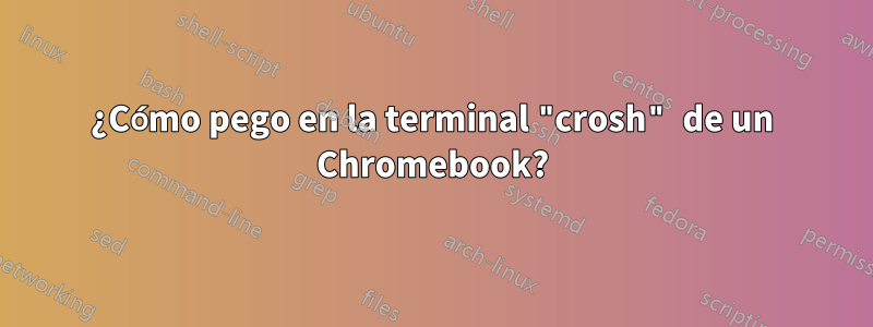 ¿Cómo pego en la terminal "crosh" de un Chromebook?