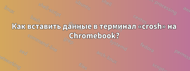 Как вставить данные в терминал «crosh» на Chromebook?