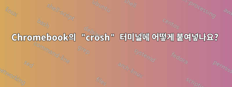 Chromebook의 "crosh" 터미널에 어떻게 붙여넣나요?