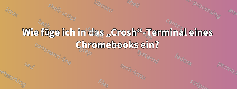 Wie füge ich in das „Crosh“-Terminal eines Chromebooks ein?