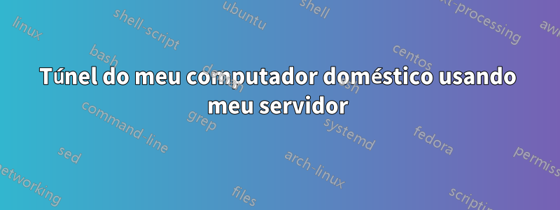 Túnel do meu computador doméstico usando meu servidor