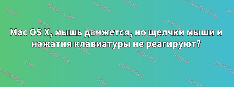 Mac OS X, мышь движется, но щелчки мыши и нажатия клавиатуры не реагируют?