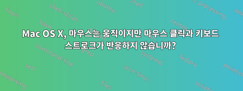 Mac OS X, 마우스는 움직이지만 마우스 클릭과 키보드 스트로크가 반응하지 않습니까?