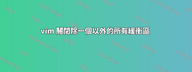 vim 關閉除一個以外的所有緩衝區