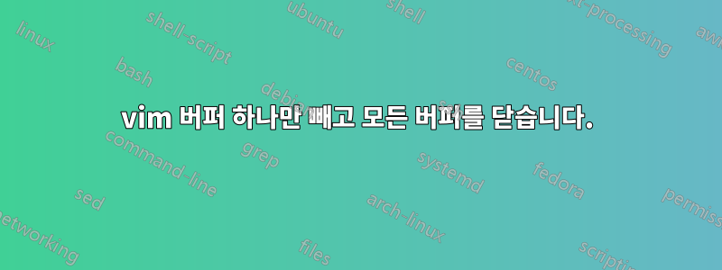 vim 버퍼 하나만 빼고 모든 버퍼를 닫습니다.