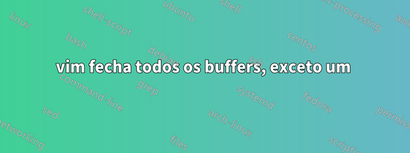 vim fecha todos os buffers, exceto um