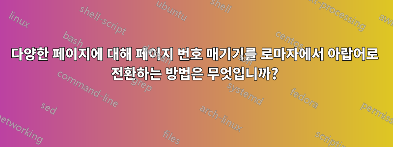 다양한 페이지에 대해 페이지 번호 매기기를 로마자에서 아랍어로 전환하는 방법은 무엇입니까?