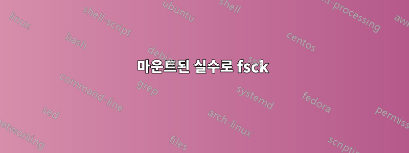 마운트된 실수로 fsck