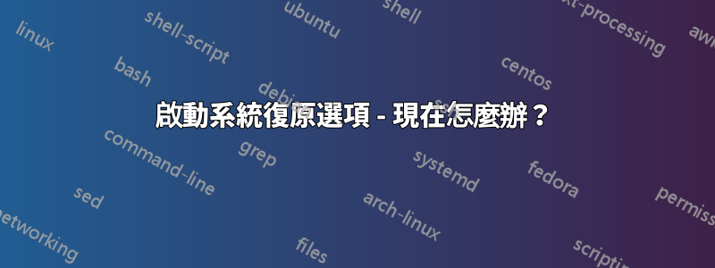 啟動系統復原選項 - 現在怎麼辦？