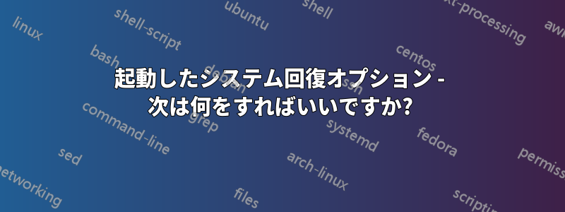 起動したシステム回復オプション - 次は何をすればいいですか?