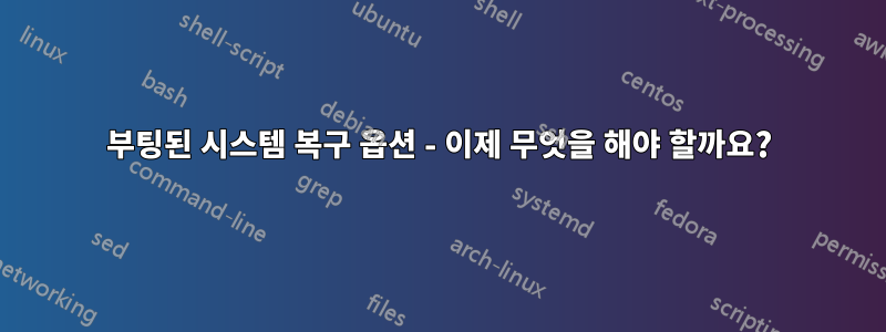 부팅된 시스템 복구 옵션 - 이제 무엇을 해야 할까요?