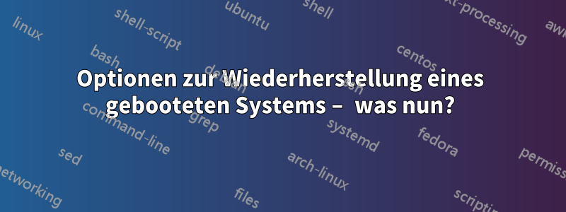 Optionen zur Wiederherstellung eines gebooteten Systems – was nun?