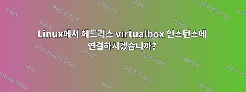 Linux에서 헤드리스 virtualbox 인스턴스에 연결하시겠습니까?