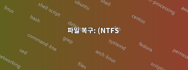 파일 복구: (NTFS) 파티션의 비파괴 복사본을 만들려면 어떻게 해야 합니까?