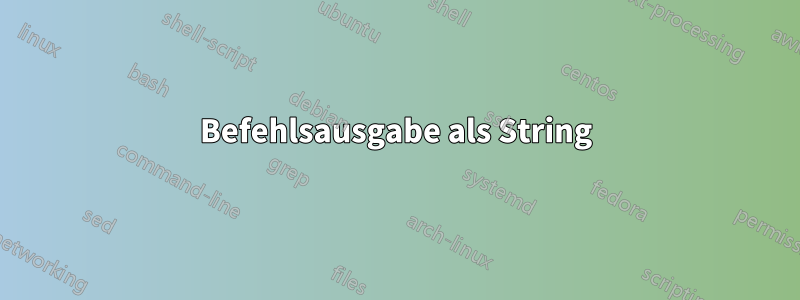 Befehlsausgabe als String