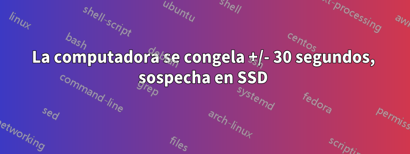 La computadora se congela +/- 30 segundos, sospecha en SSD