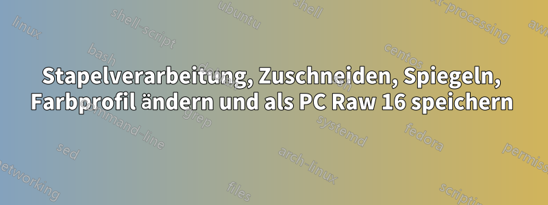 Stapelverarbeitung, Zuschneiden, Spiegeln, Farbprofil ändern und als PC Raw 16 speichern