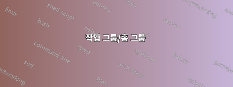 작업 그룹/홈 그룹