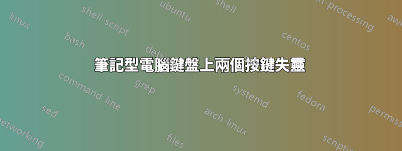 筆記型電腦鍵盤上兩個按鍵失靈