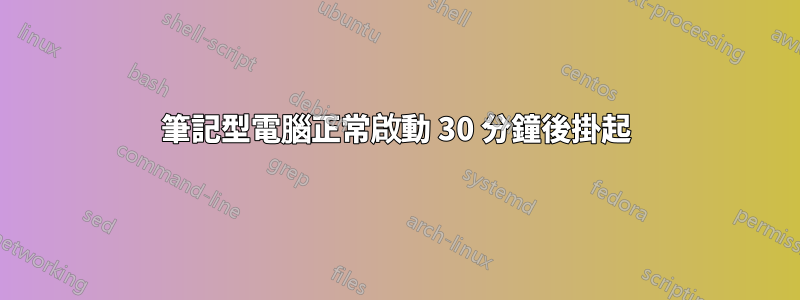筆記型電腦正常啟動 30 分鐘後掛起