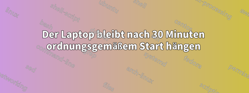 Der Laptop bleibt nach 30 Minuten ordnungsgemäßem Start hängen
